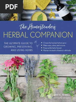 From Garden to Glass: Crafting Herbal Infusions...