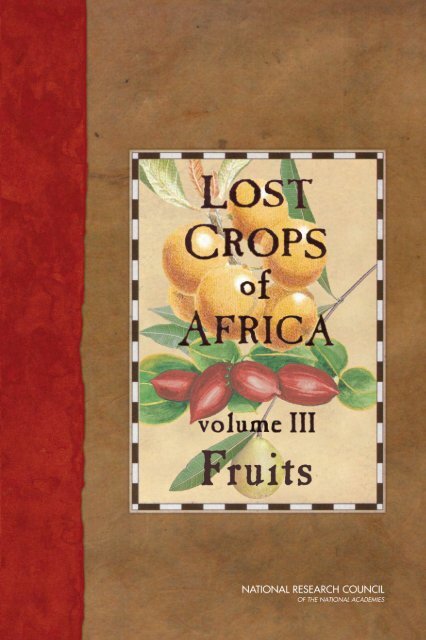 Another illustration of more fruits.