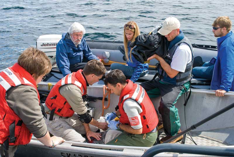 Families cleaning up marine debris in the Maldives