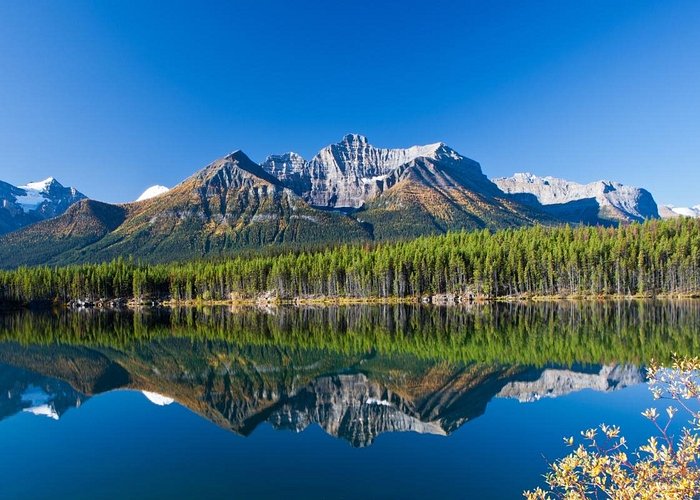 ## Unearthing the Magic of Banff National Park: A...