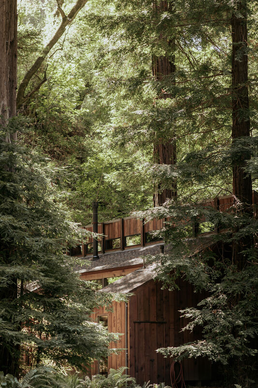 Picnic with cheese and wine on 17-mile drive