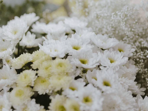 layered garden flowers varying heights textures