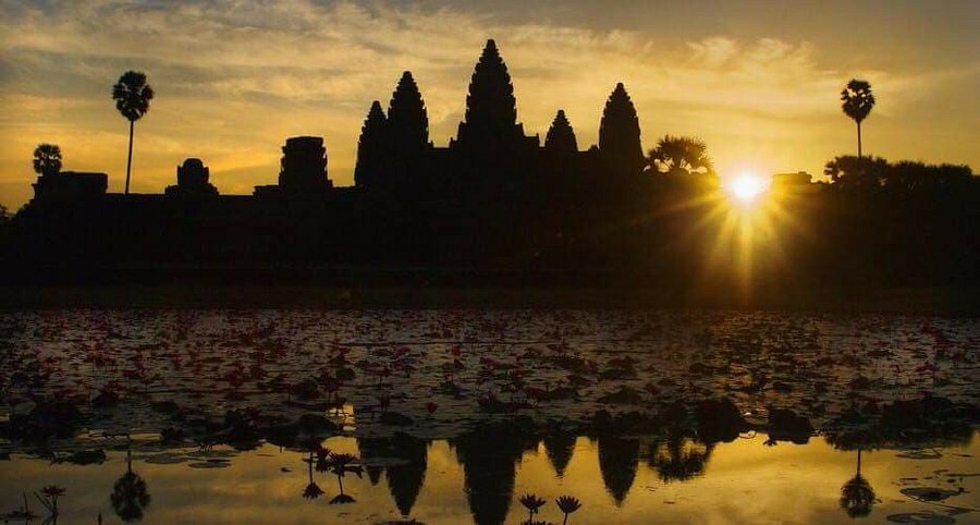 Grilled Corn on the Cob