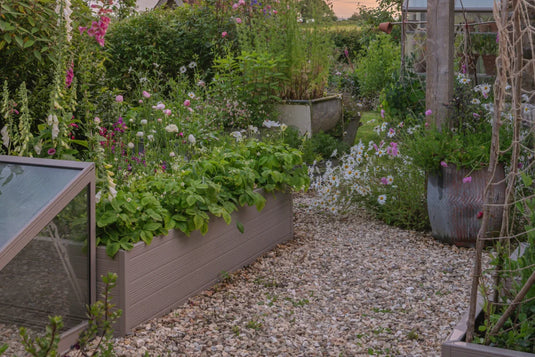 Cold Frame Next to Raised Bed