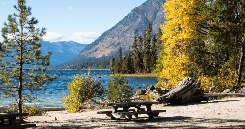 Mia and Lily splashing in the lake