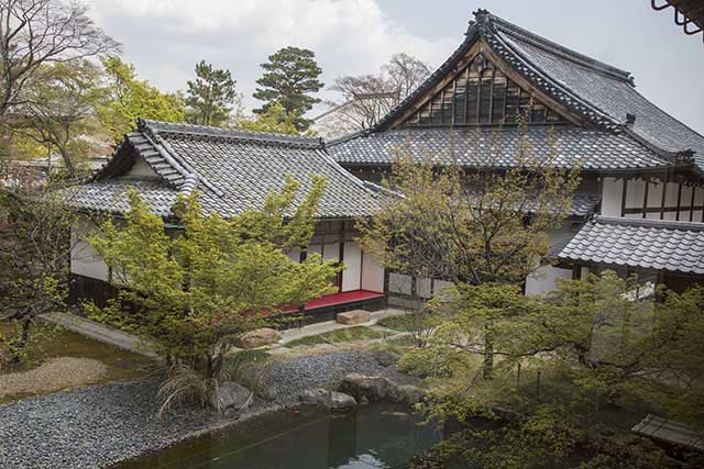 # Kyoto in Autumn: A Culinary Journey Through Kais...