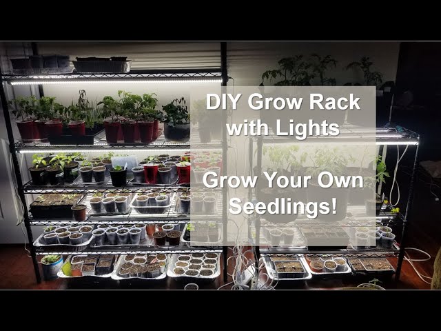 Bring Spring Indoors: Build a DIY Seed Starting...