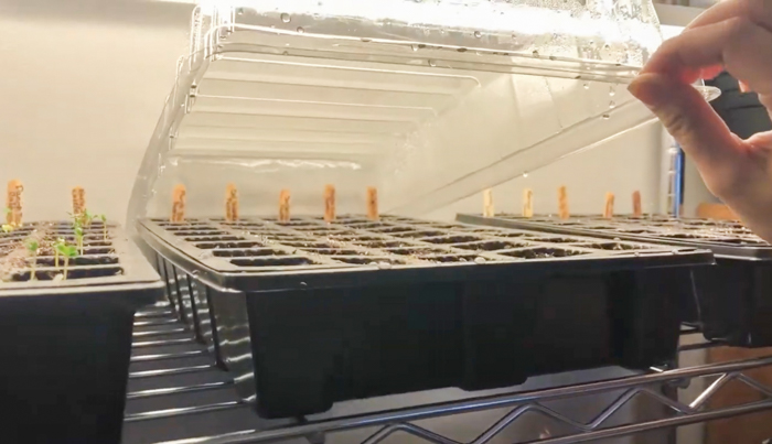 DIY Grow Light stand