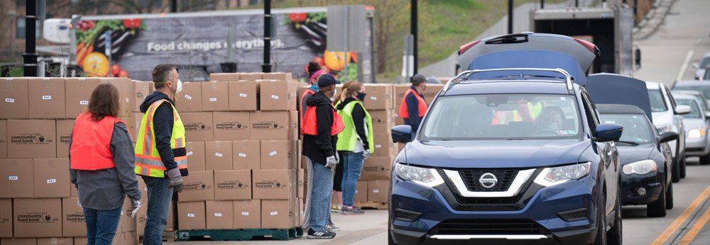 A Canva graphic featuring a testimonial from a volunteer at "The Little Paws Pet Shelter." The graphic includes a heartwarming photo of a child hugging an adopted dog.