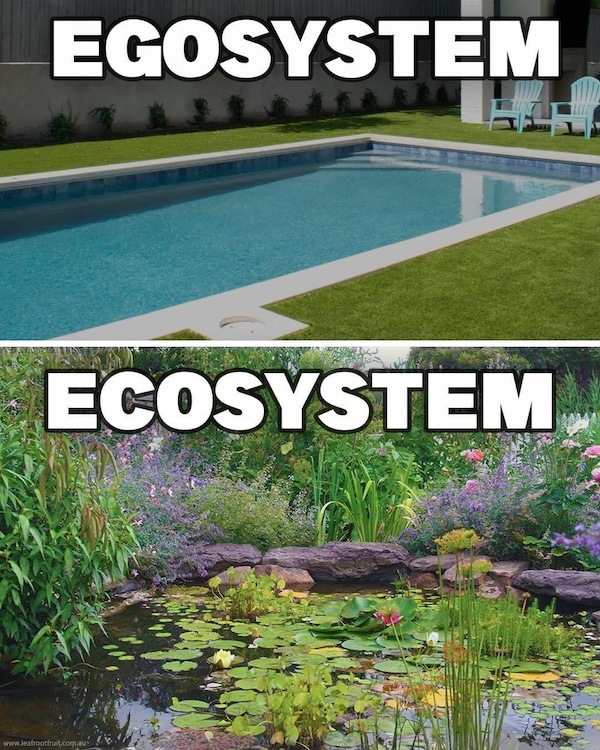 The Ego System