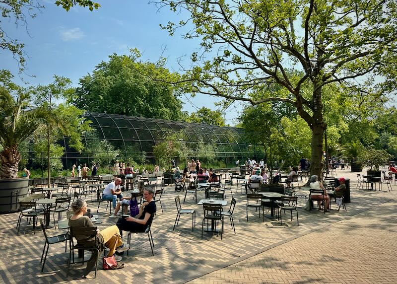 Van Wonderen Stroopwafels