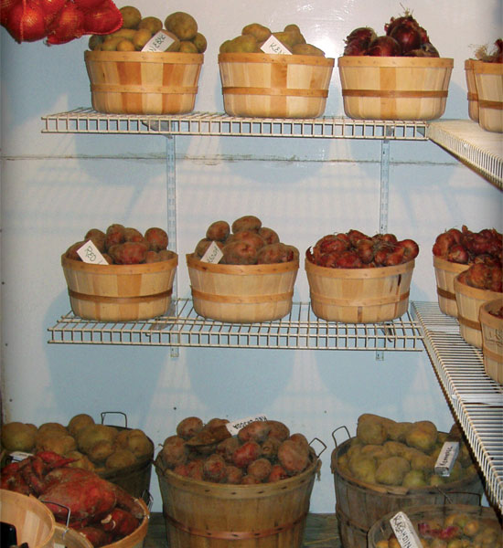 A basement root cellar