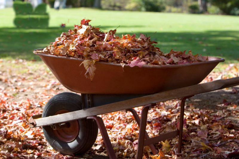 Autumn Abundance: 5 Simple Steps to Prepare Your...