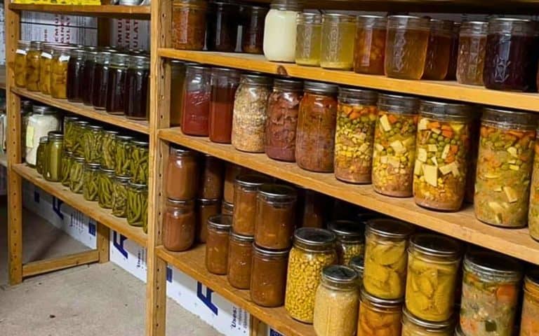A beautifully organized pantry space featuring preserved foods and potentially root vegetables