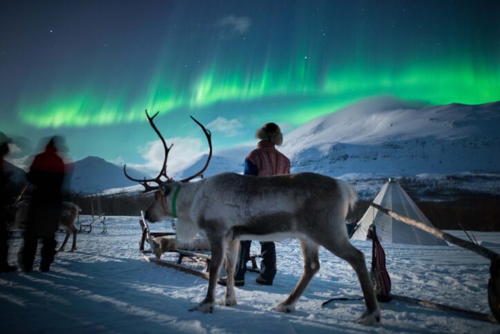 A snow-covered landscape in Tromsø under the vibrant Northern Lights, setting the scene for an arctic adventure.