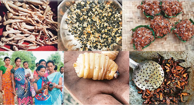 Beyond the Garden: Wildcrafted Wonders for Your...