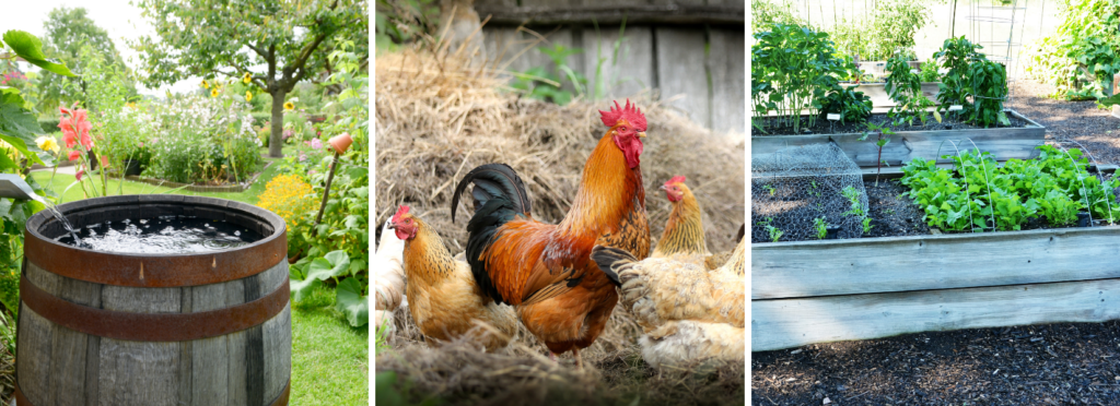 DIY projects for self-sufficiency
