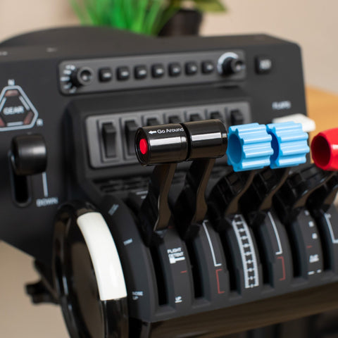 In-game screenshot from Microsoft Flight Simulator 2020 showing realistic scenery and aircraft details