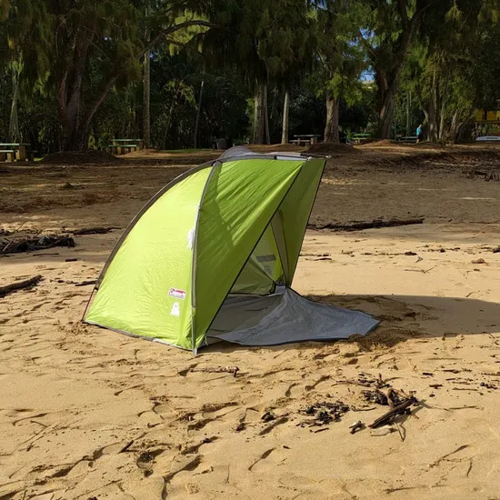 Snowy Egret on Assateague Island