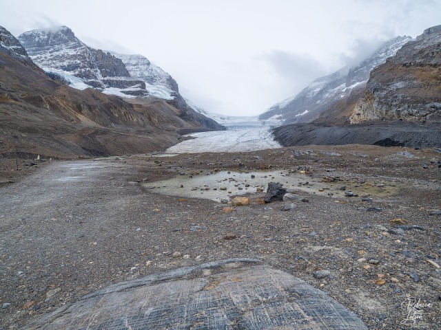 Athabasca Glacier Blue Ice