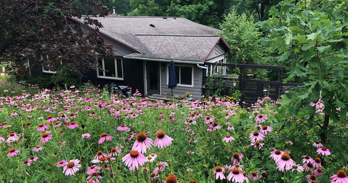 An inviting pollinator garden with various flowers and plants.