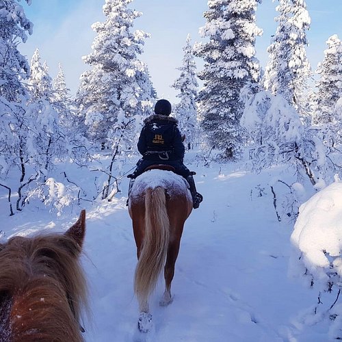 A person riding a horse through a snow-covered forest at night, with the Northern Lights visible in the sky above. The alt text describes a horseback aurora tour in Finnish Lapland, emphasizing the magical and sustainable experience.