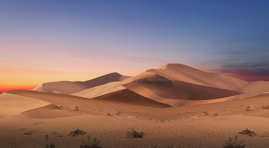Panoramic view of rolling sand dunes in the Sahara Desert at sunset, showcasing the vastness and beauty of the landscape.