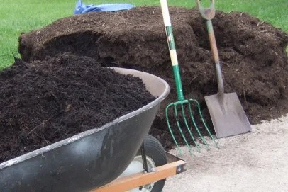 A pile of mulch.