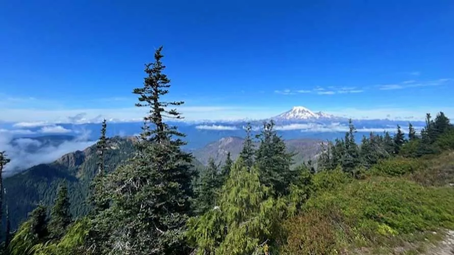 The Miller Family's camping in the mountain