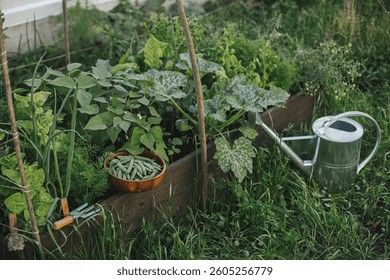 Homestead lifestyle watering can raised