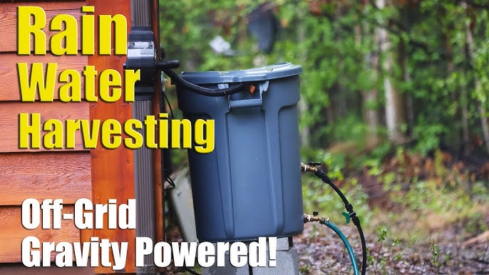 Plastic barrel for rainwater harvesting