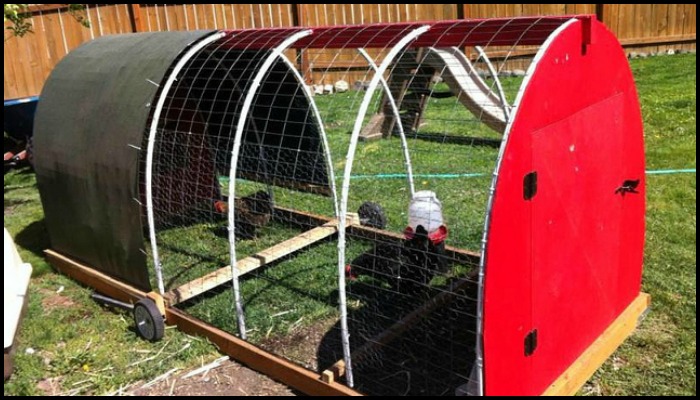 Finished Chicken Tractor