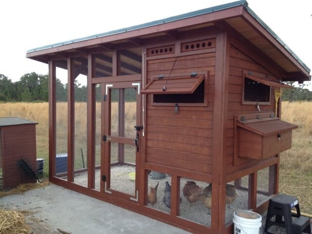 Spring into Self-Reliance: Build a Mobile Chick...