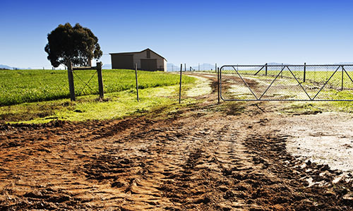 A muddy backyard, indicative of the challenges of late autumn and the need for proper drainage and preparation for winter weather.