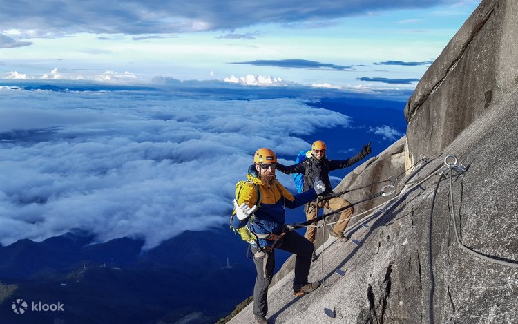 Valley of Flowers Bloom