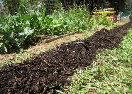 5 Uncommon Soil Amendments Your Garden (and the...