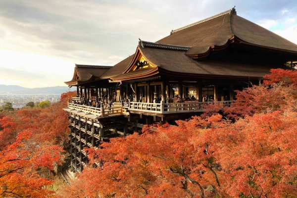 Autumn leaves along the Kamo River