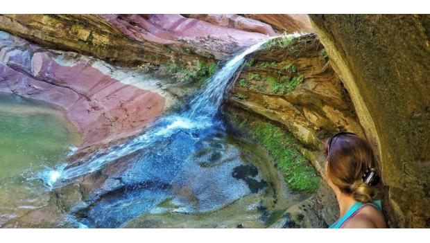 # Zion National Park in Spring: An Adventure That...