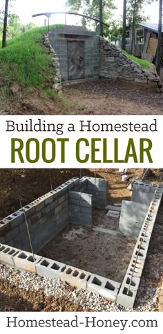 Potatoes in root cellar