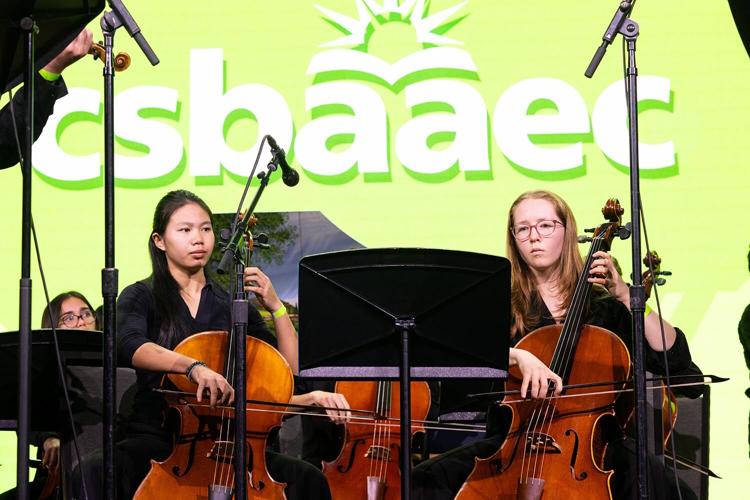 A breathtaking Apostle Islands sunset paints the sky in vibrant colors, reflecting on the water, bringing Sarah a sense of peace.