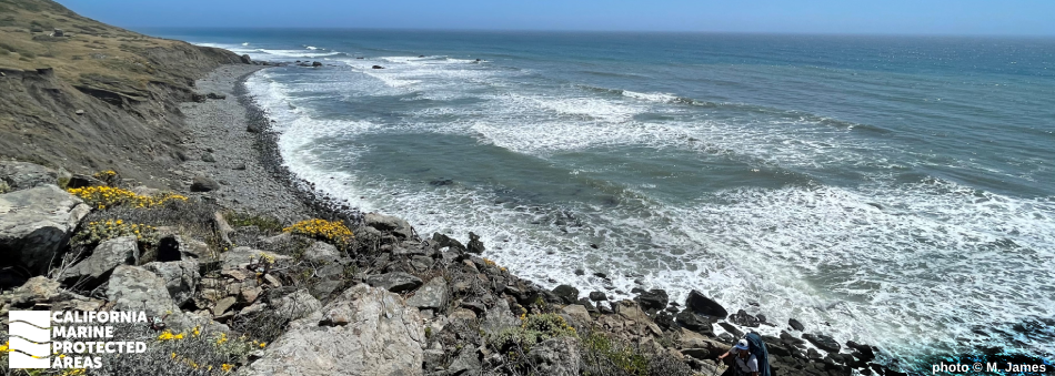 SteriPen UV water purifier in use