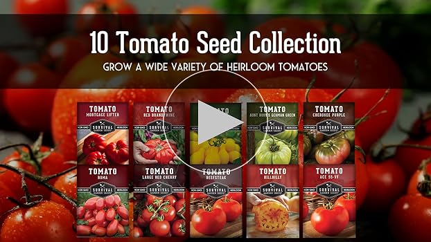 From Seed to Sauce: Grow Your Own Delicious Toma...