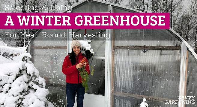 From Brown to Bloom: 5 Quick Wins for a Thrivin...
