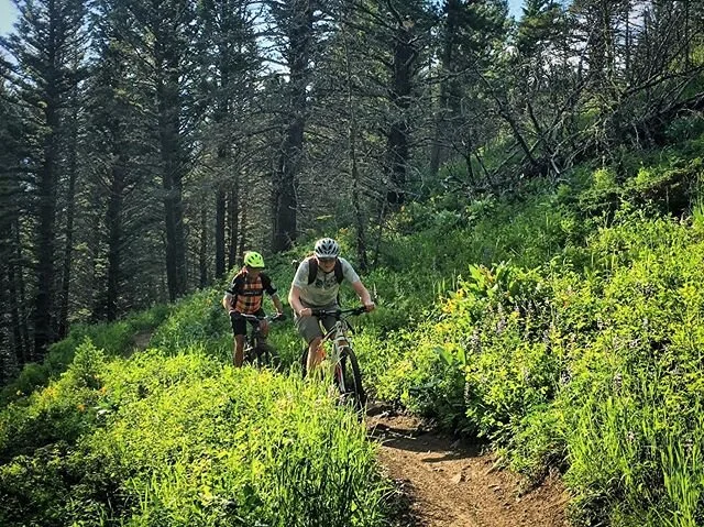 # Unleash Your Inner Explorer: 3 Epic Adventures f...