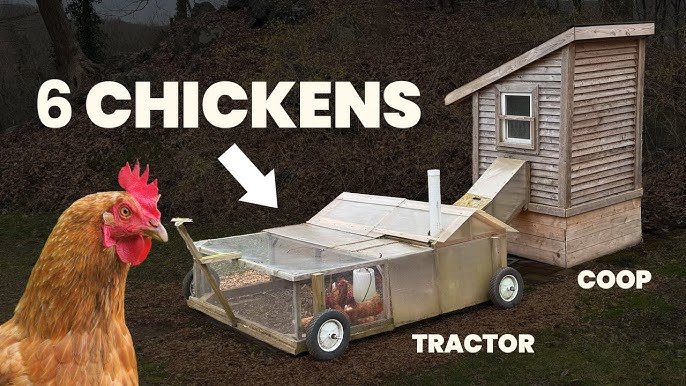 Alternative Chicken Tractor Design