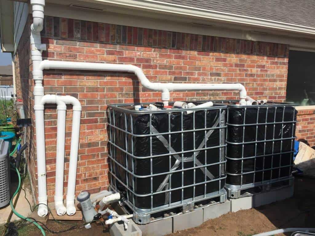 thriving garden irrigated rainwater harvesting system