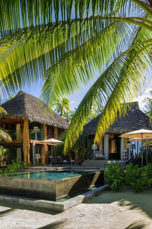 A portrait of Kai Tanaka planting coral with local Polynesian community members