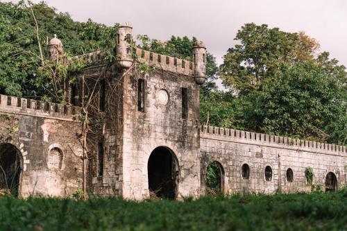 Dense rainforest of Obô Natural Park, a UNESCO Biosphere Reserve.