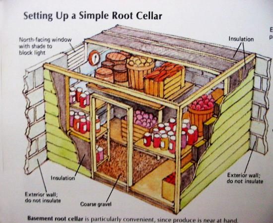 Example of root cellar interior