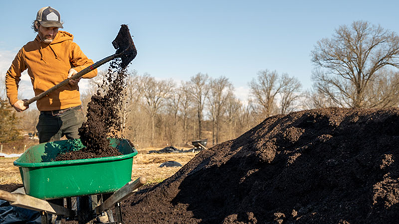Close up of compost